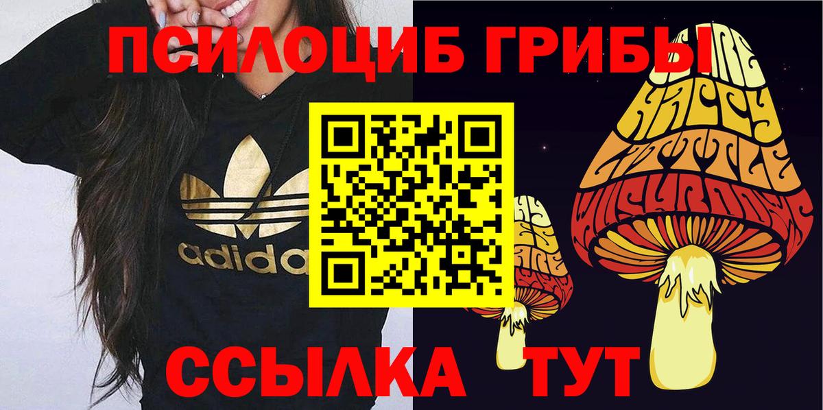 Галлюциногенные грибы Psilocybe  Вход с VPN  Приморско-Ахтарск 
